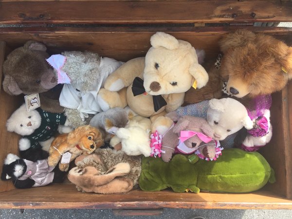 Peluche Pokémon : Une idée cadeau parfaite pour l'anniversaire d'un enfant